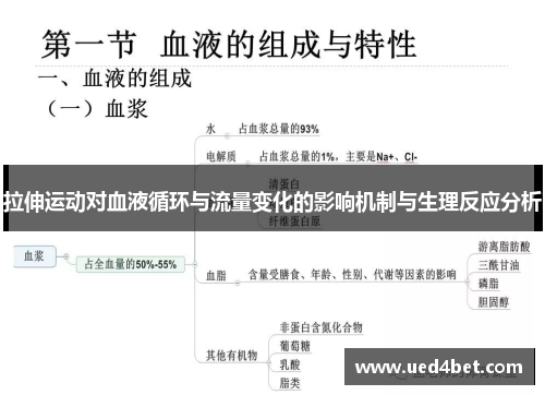 拉伸运动对血液循环与流量变化的影响机制与生理反应分析