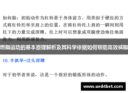 燃脂运动的基本原理解析及其科学依据如何帮助高效减脂